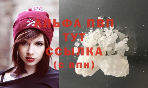 мдпв Краснослободск