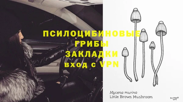 мдпв Краснослободск