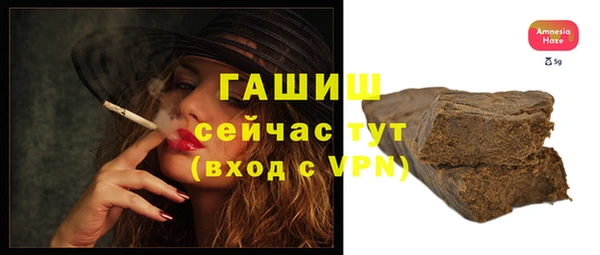 мдпв Краснослободск