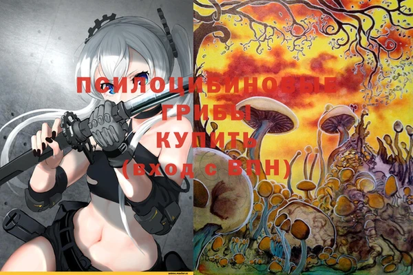 герыч Куйбышев