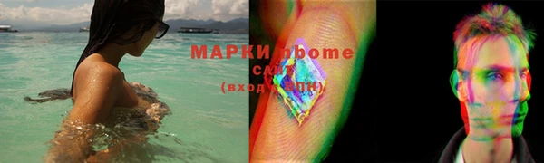 мдпв Краснослободск