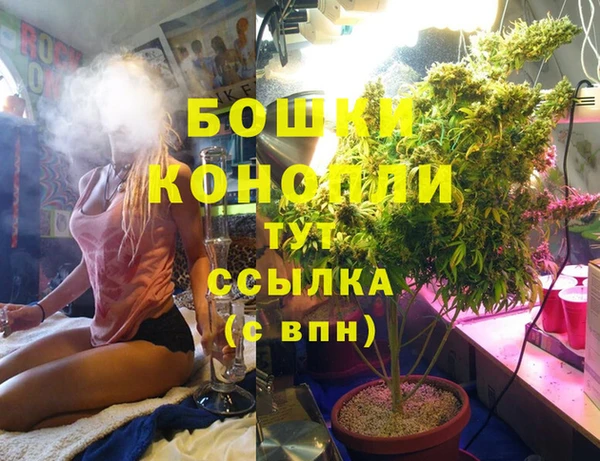 мдпв Краснослободск