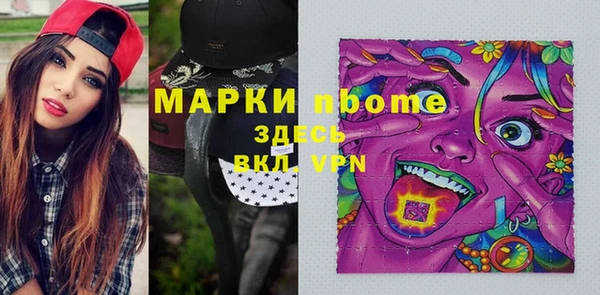 мдпв Краснослободск