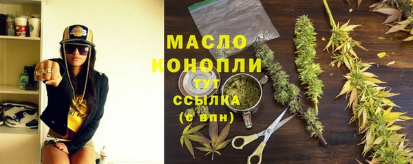 мдпв Краснослободск