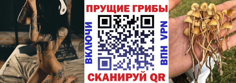 Галлюциногенные грибы MAGIC MUSHROOMS  Лосино-Петровский 